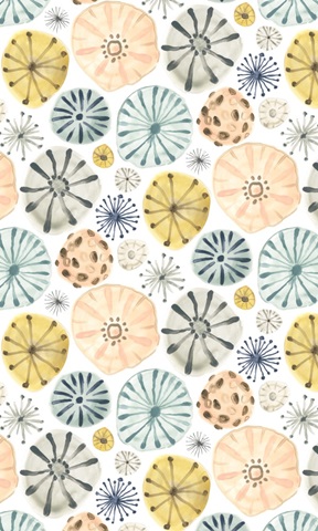 Ocean Urchins Collection E