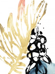 No Deckle Tropical Moderne II