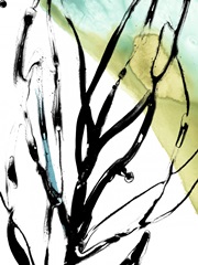 No Deckle Tropical Moderne V