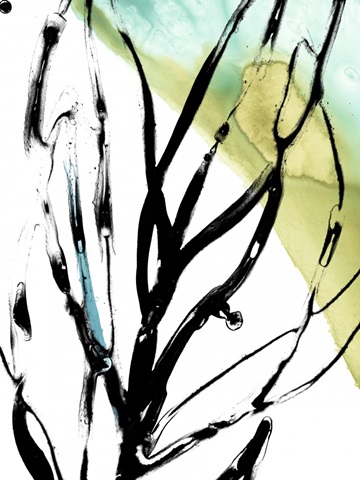 No Deckle Tropical Moderne V