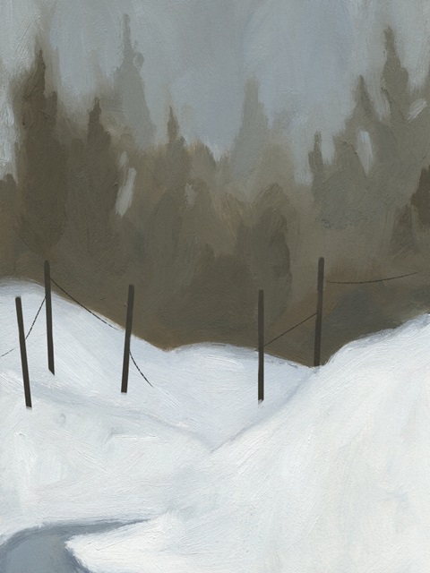 Deep Snow III