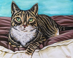 Kaleidoscope Comfy Cat