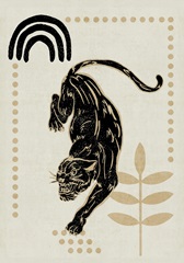 Furious Cats Collection B