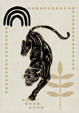 Furious Cats Collection B