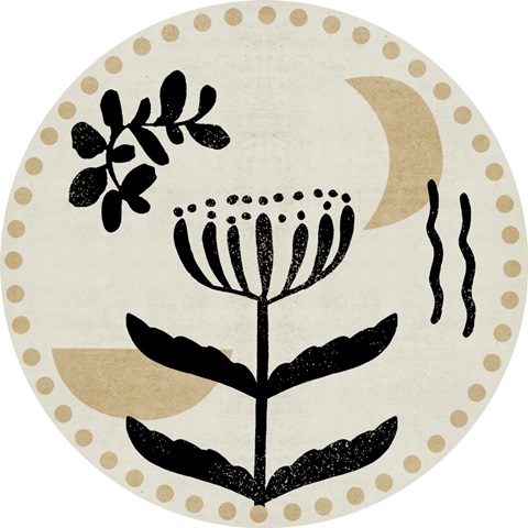 Furious Cats Collection C