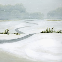 Snowfield  I