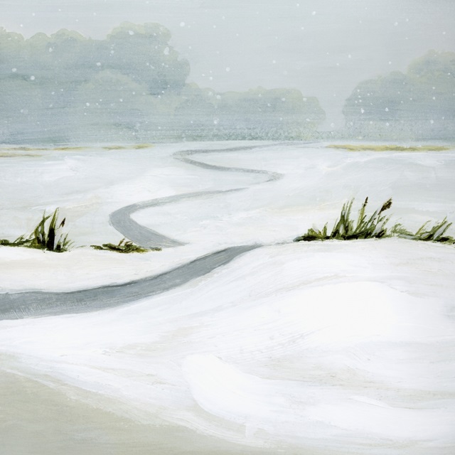 Snowfield  I