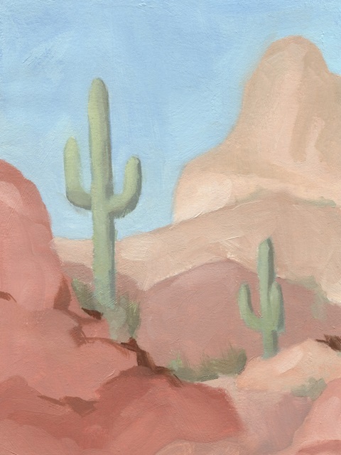 Sunny Saguaro IV