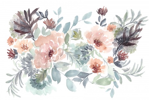 Sweet Display Collection A