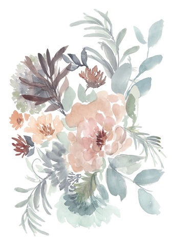 Sweet Display Collection B