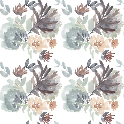 Sweet Display Collection F