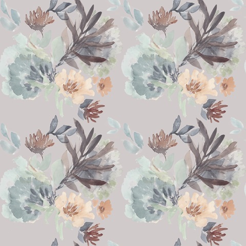 Sweet Display Collection G