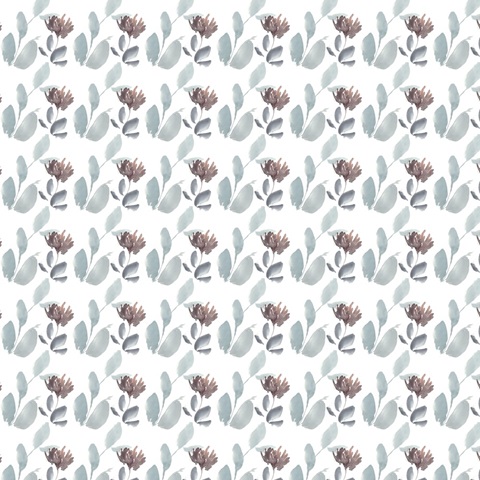 Sweet Display Collection H