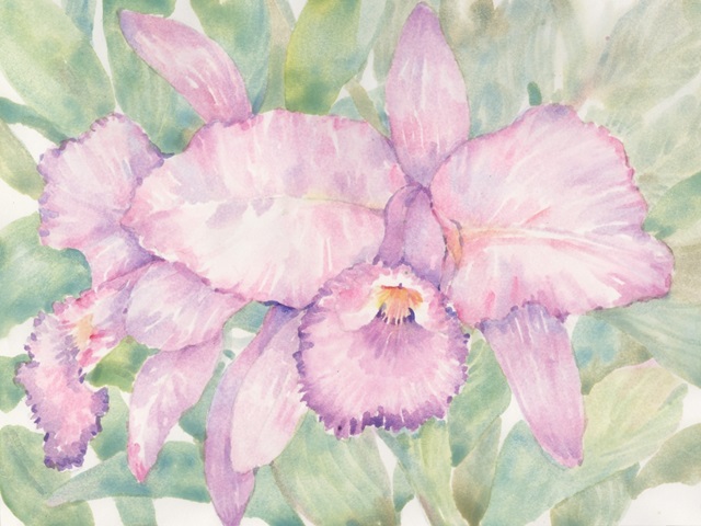 Tropical Orchid Watercolor II