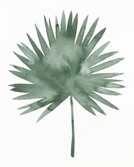 Indoor Plant Press I