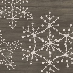 Aspen Snowflake IV