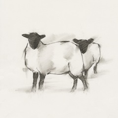 Folksie sheep I