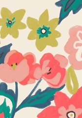 Lyla Grace Collection B