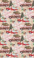 Santa on Wheels Collection E