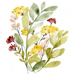 Spring Sprigs Collection C