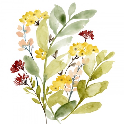 Spring Sprigs Collection C