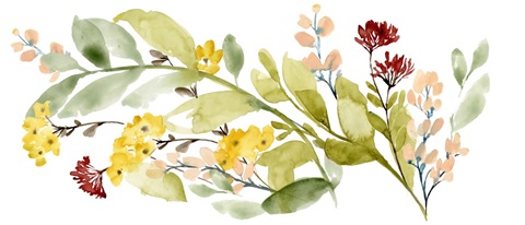 Spring Sprigs Collection D