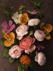 A Pocket Full of Posies