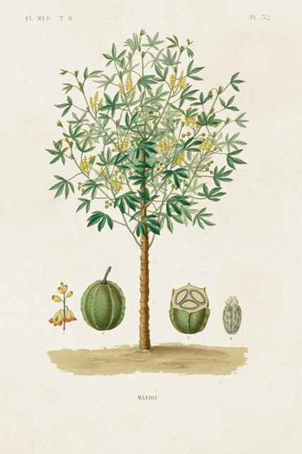 Antique Tree with Fruit VIII