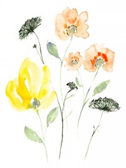 Bright Wildflowers II