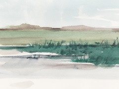 Emerald Grassland II