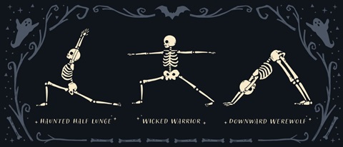 Scary Stretches Collection D