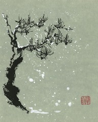 Snowy Pine I