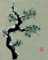 Snowy Pine II