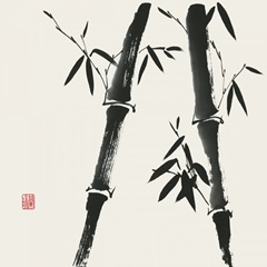 Bamboo Collection IV