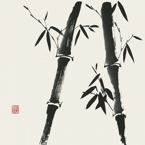 Bamboo Collection IV