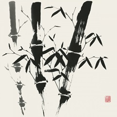Bamboo Collection VI