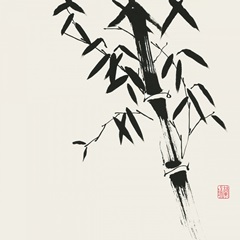 Bamboo Collection VIII