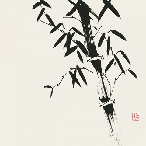 Bamboo Collection VIII