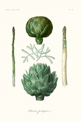 Fruit & Vegetable Varieties II