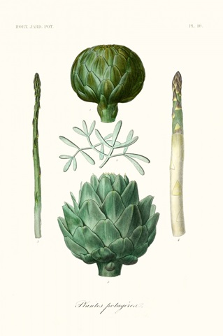 Fruit & Vegetable Varieties II