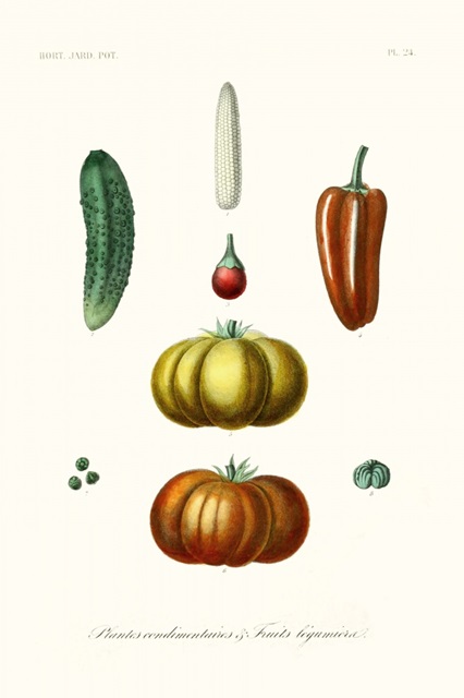 Fruit & Vegetable Varieties III