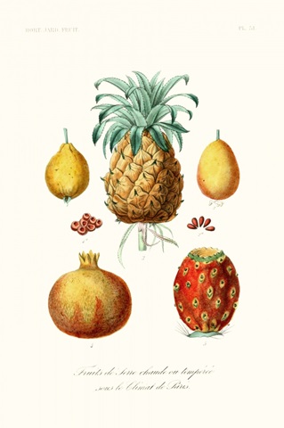 Fruit & Vegetable Varieties V