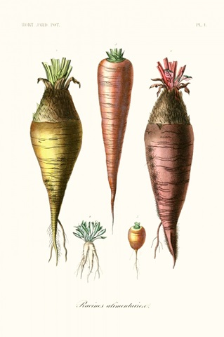 Fruit & Vegetable Varieties VI