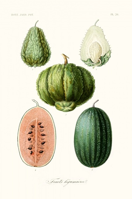 Fruit & Vegetable Varieties VIII