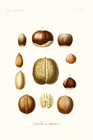 Fruit & Vegetable Varieties X