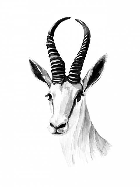 Gazelle Sketch I