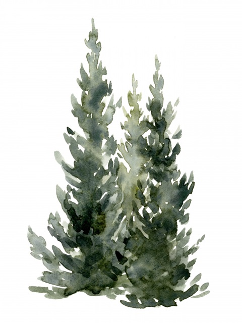 Simple Evergreens I