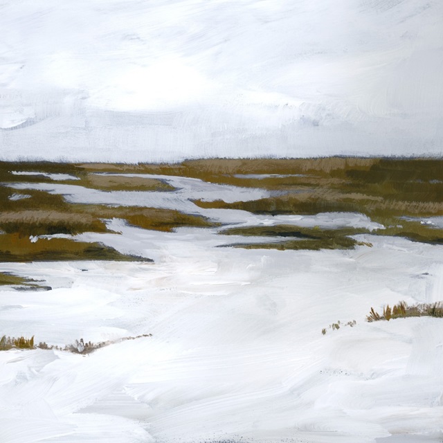 Snowy Moor I