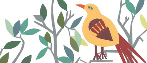 Whitty Bird Collection D