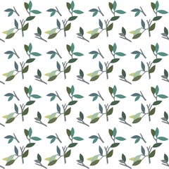 Whitty Bird Collection H